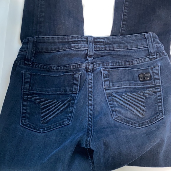 Joe jeans the Chelsea Skinny Straight Cropped 24 - Picture 4 of 5